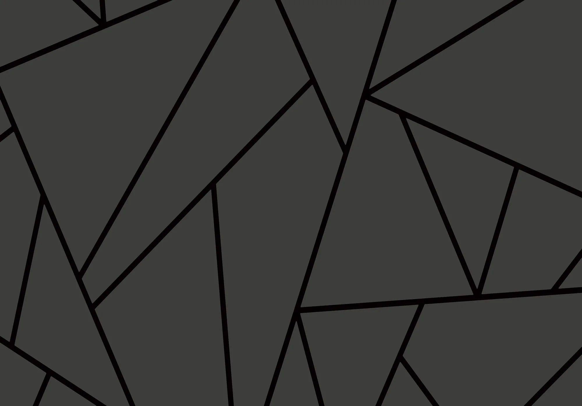 Geomeetrilised jooned – fototapeet 15138 - Image 6