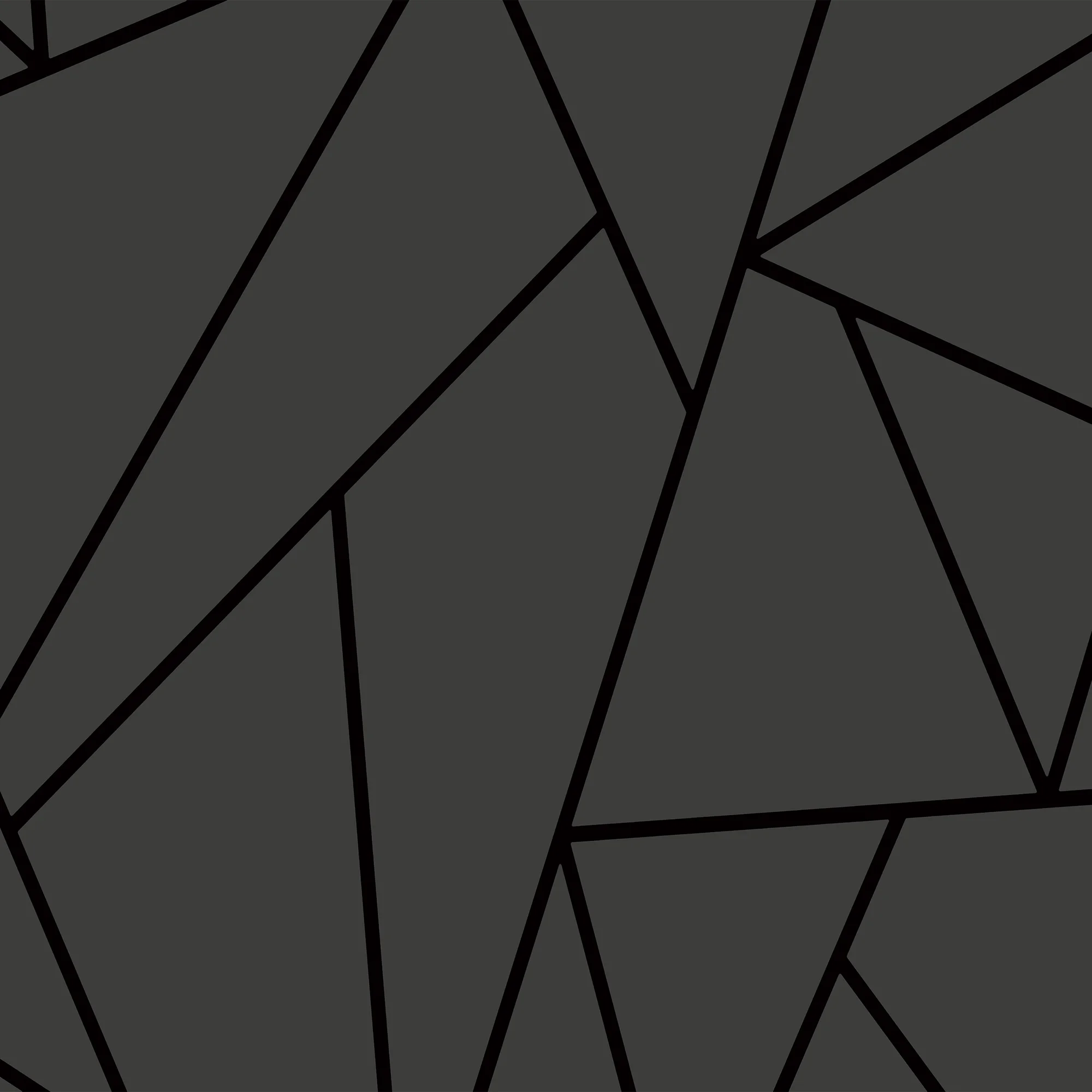 Geomeetrilised jooned – fototapeet 15138 - Image 5