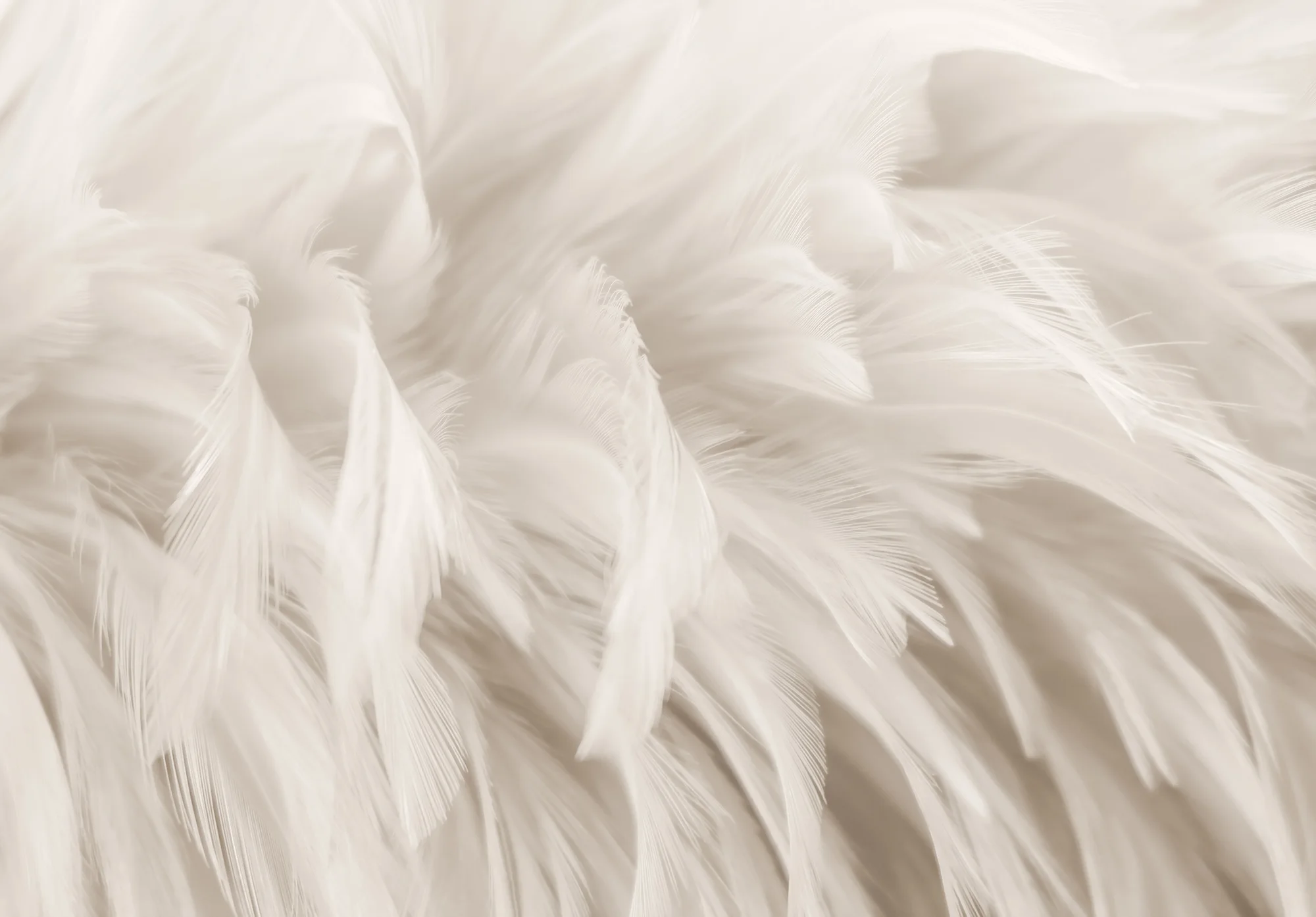 Pastelsed suled – fototapeet 15279 - Image 2