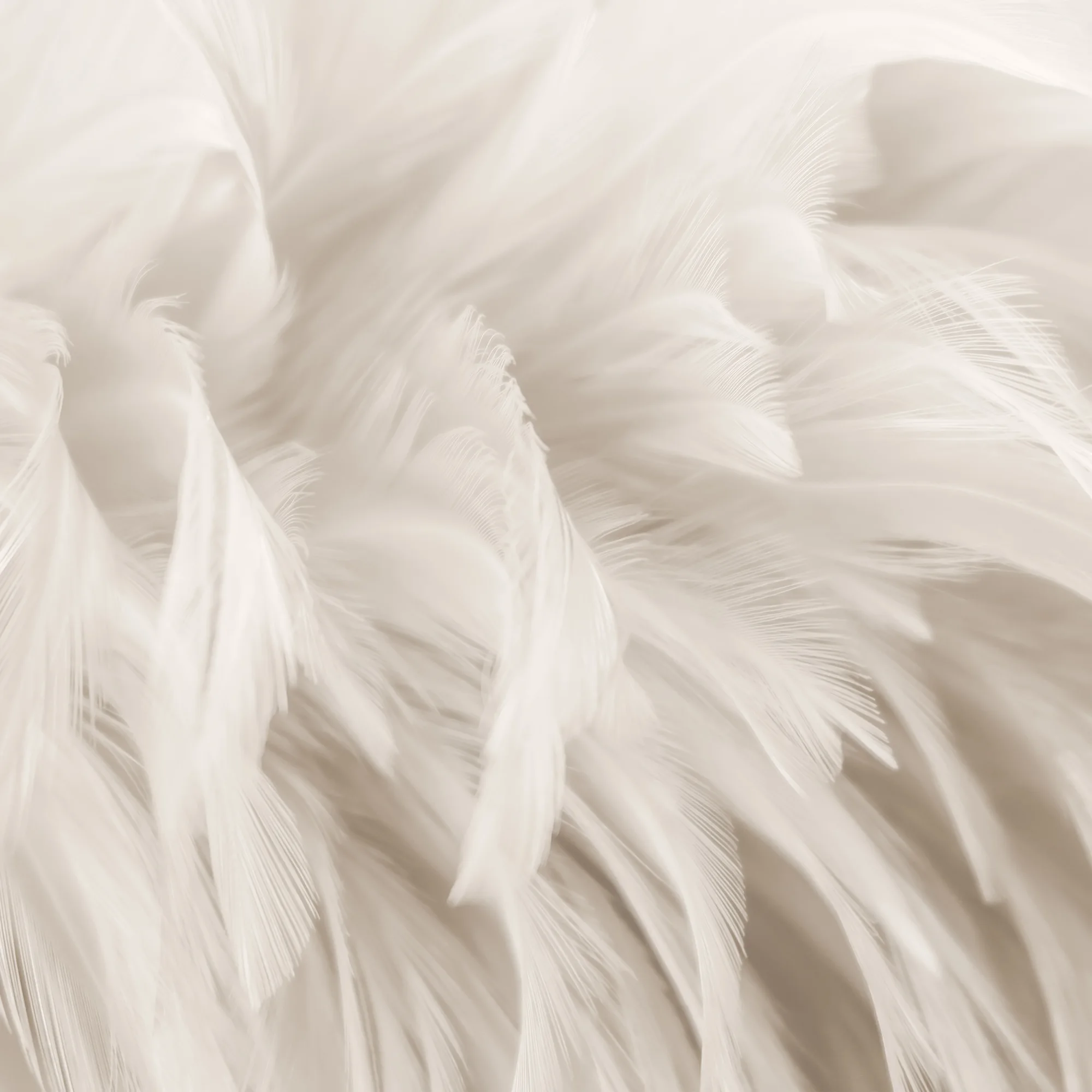 Pastelsed suled – fototapeet 15279 - Image 6